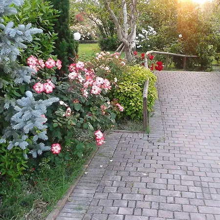 Fattoria Belvedere Bellaria-Igea Marina