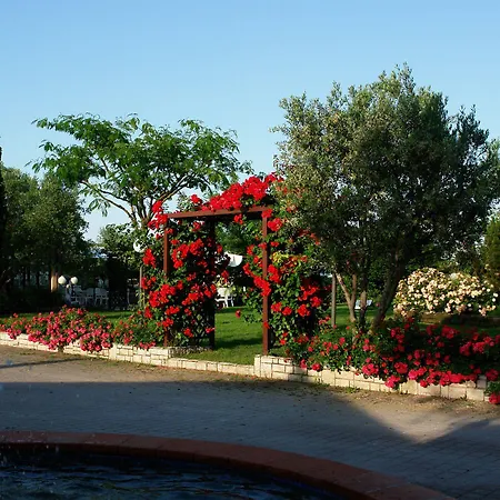 Fattoria Belvedere Farm stay