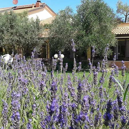 Farm stay Fattoria Belvedere *