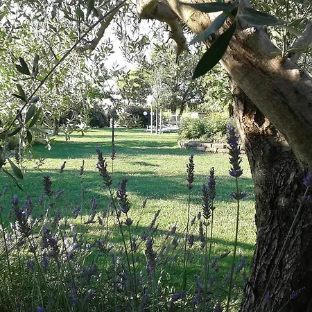 Farm stay Fattoria Belvedere