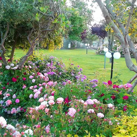 Fattoria Belvedere *