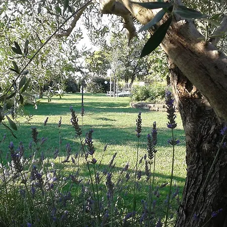 Fattoria Belvedere Farmház
