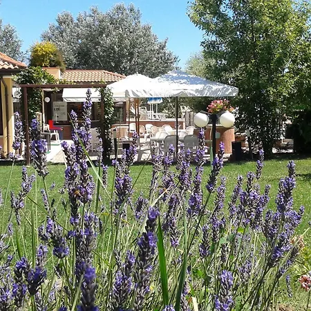 팜스테이 Fattoria Belvedere *
