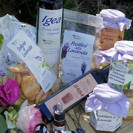 Fattoria Belvedere Farmház Bellaria – Igea Marina