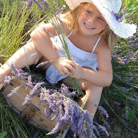 Fattoria Belvedere * Bellaria – Igea Marina