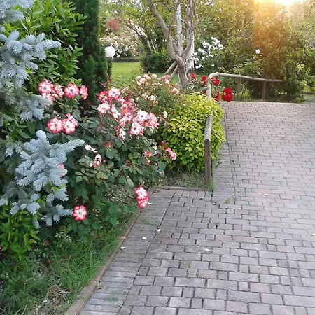 Fattoria Belvedere * Bellaria-Igea Marina