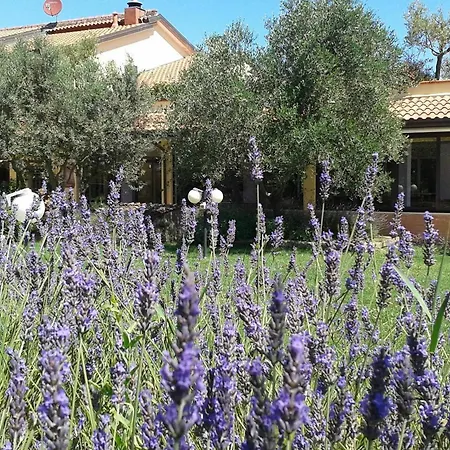 Fattoria Belvedere Bauernhof *