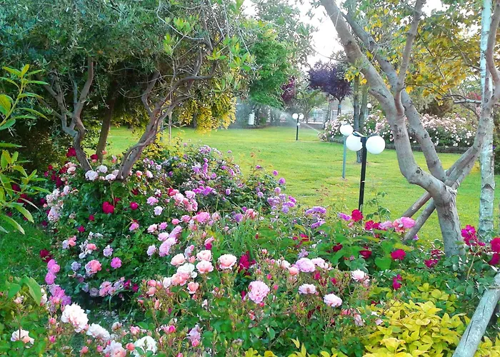 Fattoria Belvedere *