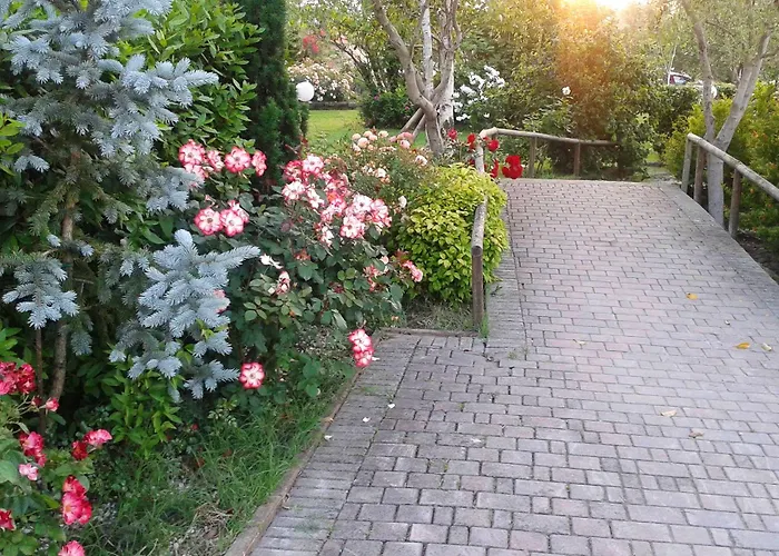 Fattoria Belvedere Bellaria-Igea Marina