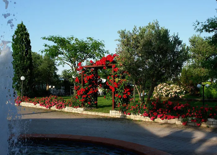 Fattoria Belvedere Bauernhof