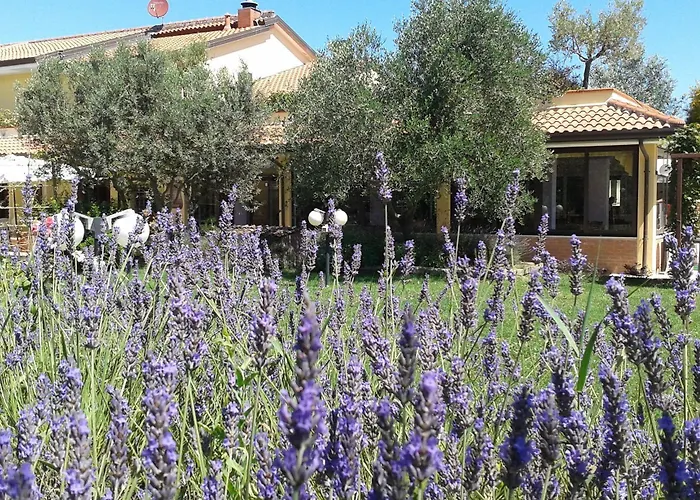 Bauernhof Fattoria Belvedere *