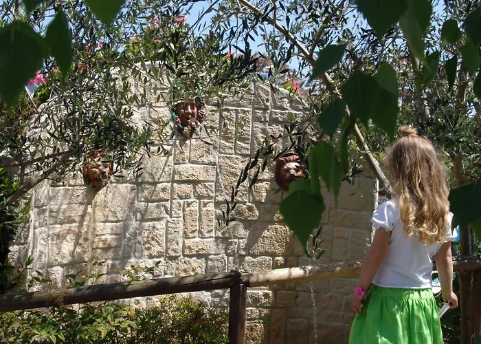 Fattoria Belvedere Bauernhof