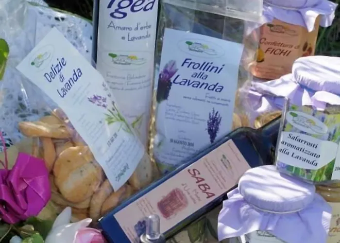 Fattoria Belvedere Bauernhof Bellaria-Igea Marina