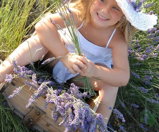 Fattoria Belvedere * Bellaria-Igea Marina